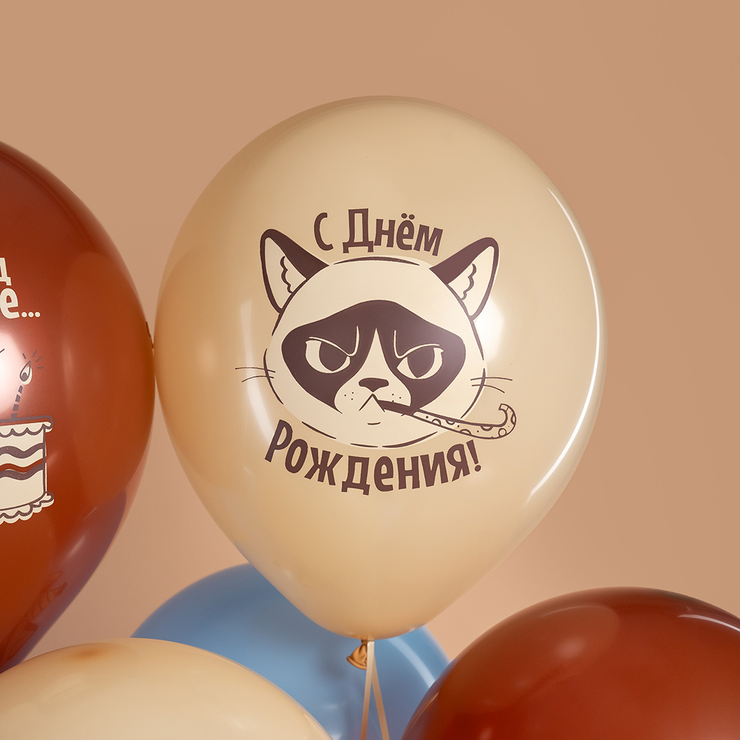Шар (12''/30 см) С Днем Рождения! (сердитая кошка), Ассорти, пастель, 2 ст, 25 шт.
