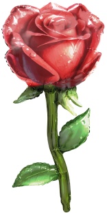 Шар (38''/97 см) Фигура, Роза, Красный, 1 шт. в уп.