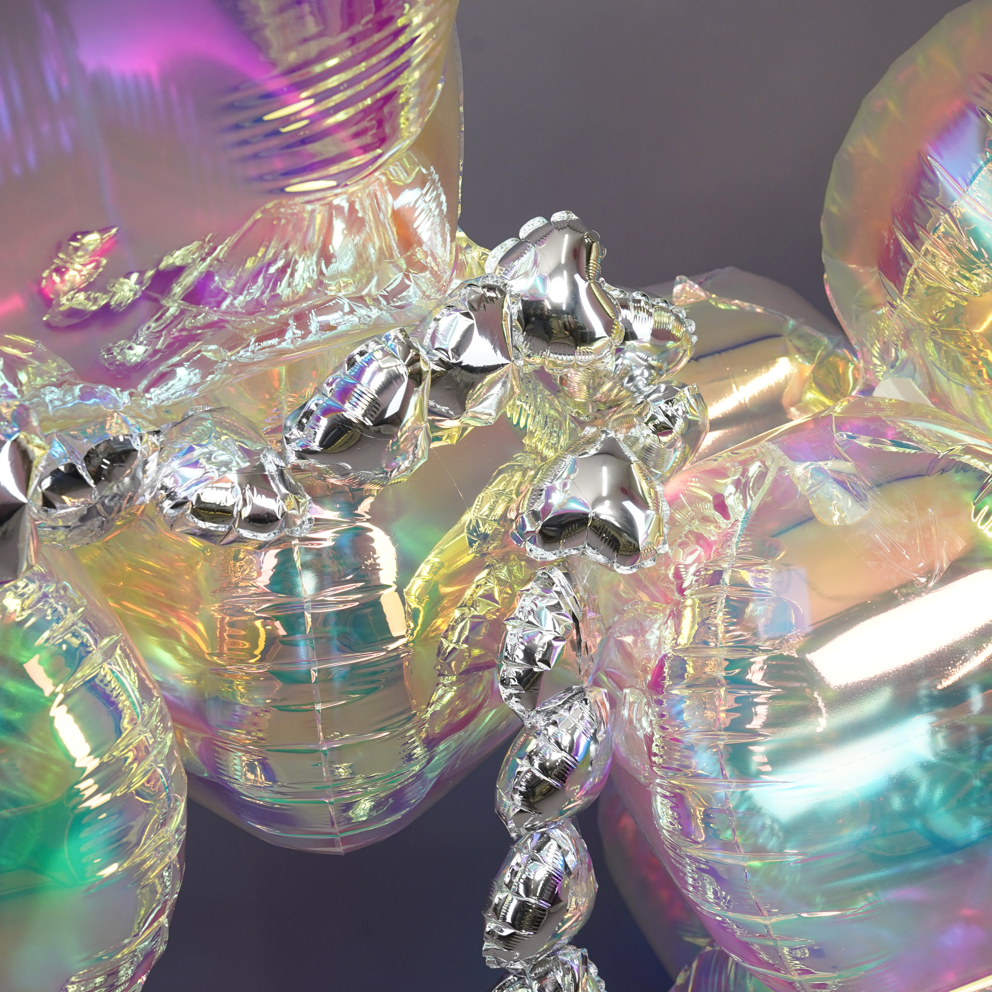 Собака Хамелеон