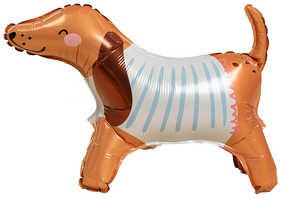 Шар (24''/61 см) Фигура 3D, Таксик в свитере, 1 шт.